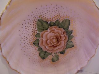 Cambridge Crown Tuscan,  Hand Painted Flower,  Sea Shell Plate 7 