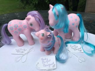 My Little Pony Vintage G1 Daddy Mommy Baby Brother Bright Bouquet