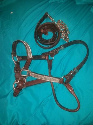 Vintage Silver Plated Western Show Halter And Lead