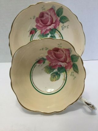 Vintage Paragon Bone China Cabbage Rose Teacup And Saucer
