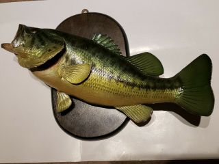 Vintage Largemouth Bass Taxidermy Fish Mount 16 " Long Cabin Or Home Decor