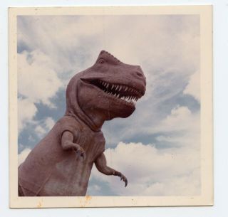 Godzilla Groovy Dinosaur In The Clouds Vintage Photo 1960s - 70s