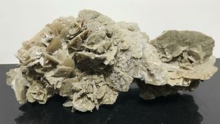 Vtg Collectors Geologist Selenite Desert Rose Quartz Specimen Rock 12” 7.  5lbs