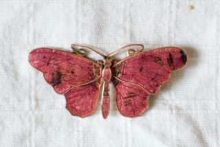 Vintage Butterfly Brooch In Enamel And Gold Colored.  Early 1900 