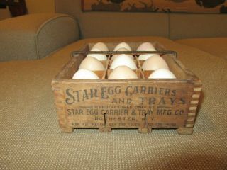 Wooden Vintage Star Egg Carrier,  Howes&storman,  Rochester Ny