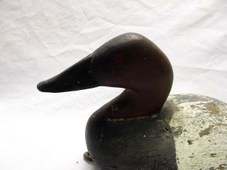 Vtg Hand Carved Wood Duck Decoy Redhead Drake Primitive Weighted Base 13 1/2 