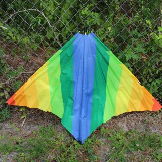 Vintage 1981 Skynasaur Competition Kite Rainbow Design,  Bag 58  x37 6