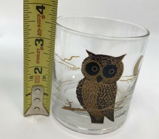 8 Vintage Couroc Low Ball Glasses Owl & Moon Theme Mid Century 6