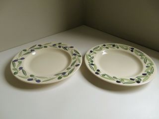 Vtg Pair Emma Bridgewater Olives Dinner Plates Hand Decorated Spongeware C1994/7