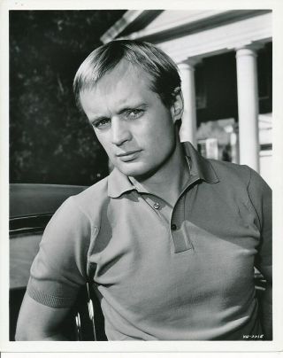 David Mccallum Candid Vintage 1960s The Man From Uncle Mgm Studio Photo