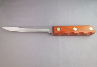 Vintage Case Xx Cap 207 5 - 1/2 " Kitchen Chefs Fish Knife Stainless Fillet Boning