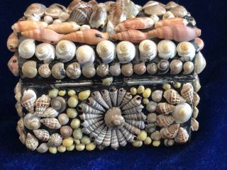 Vintage Folk Art Seashell Sea Shell Trinket Jewelry Box Hand Made Beach Style