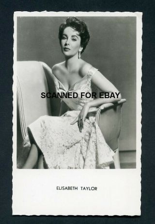 Elizabeth Taylor Glamour Vintage European Series 1950s Photo Postcard