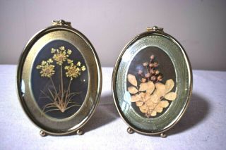 Vintage Dried Flower Oval Picture Frame Pair Queen Anne 
