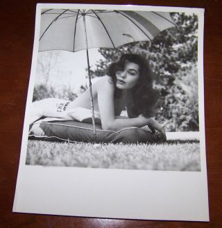 Vintage Sexy Pin Up 8 " X 10 " Photograph Photo Risque Lovely Female 1