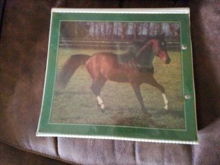 80 ' s Vintage Mead Trapper Keeper 29096 Horse / Pony : Portfolio Notebook,  School 2
