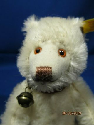 Vintage White Miniature Steiff Baby Teddy Bear Ean 029622 - 6 " Tall