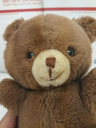 Russ Berrie & Co Vintage TEDDY Bear Plush Wind Up Musical Music Stuffed Brown 3
