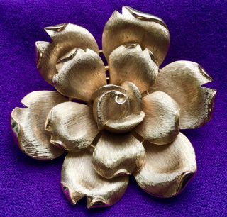 Signed Crown Trifari Vintage Large Gold Tone Flower Brooch Pin