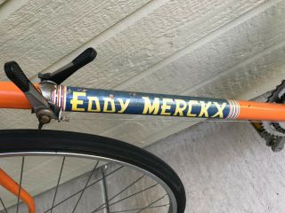 Vintage Eddy Merckx Bicycle Road Bike 1970s vintage Eroica Bike 2