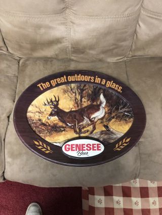 Vintage Genesee Beer The Great Outdoors In A Glass Sign