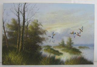 Mallard Ducks In Flight Vtg Oil Painting On Canvas Signed Antonio 24x36