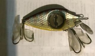 Vintage Perch Colored Spinno Minno Antique Fishing Lure Model 509 St16