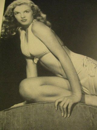 Pin - Ups By Bernard Of Hollywood W Sexy Photos Marilyn Monroe,  Nichols,  St Cyr Etc