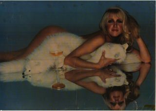 Pinup Poster Suzanne Somers 1979 20x28” Naked On Floor Three 