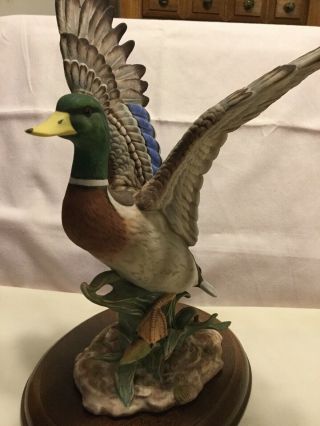 Vintage 1984 Masterpiece Porcelain Homco 11” Mallard Duck With Wooden Base