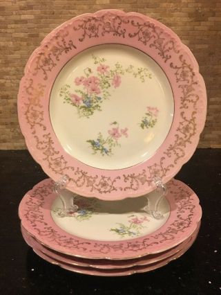 Vintage O&e.  G.  4 Royal Austria 9.  5” Plates Floral Design Pink Shabby Chic