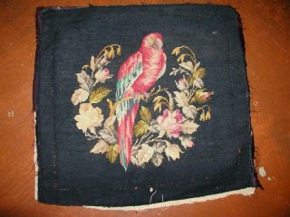 Vintage Wool Tropical Parrot Floral Tapestry Needlepoint Seat Pillow Cover