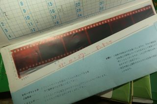 Vintage 35mm Color Film Negative / Japanese / 100s of Images / c.  1970s - 1980s 7