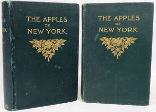 The Apples Of York Vol I & Ii S.  A Beach Hardcover Book 1905 Dept Agriculture