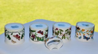 (4) VTG Portmeirion BOTANIC GARDEN Drum Cup,  (1) Napkin Rhododendron Heartsease 6