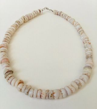 Vintage Puka Shell Necklace Strand 16.  5 " Long Silver Hook Clasp