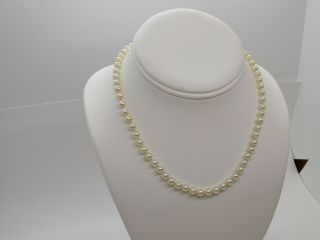 Vintage 14k Salt Water Pearl Cultured Pearl Necklace 15 1/2 " 5.  6 Mm