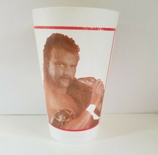 Vintage Wwf Wrestling Plastic Cup 1988 - Jake The Snake