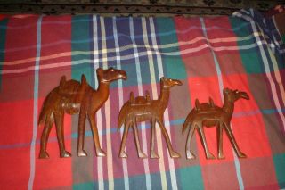 Vintage Carved Wood Camels Set Of 3 Wall Hanging Plaque Relief