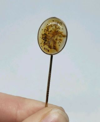 Antique Victorian 10k Yellow Gold 417 Orange Dendric Agate Stick Lapel Pin