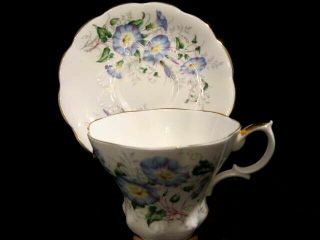 Vintage Royal Albert Fine China Tea Cup & Saucer Morning Glory