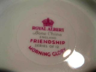 Vintage Royal Albert Fine China Tea Cup & Saucer MORNING GLORY 5