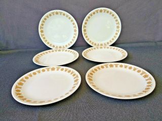 Vintage Corelle Butterfly Gold 8 1/ 2 " Luncheon Lunch Salad Plate Set Of 6