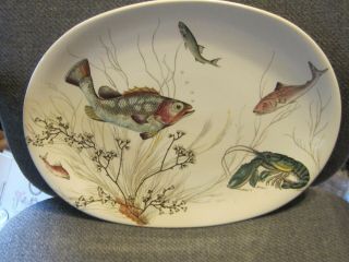 Vintage Johnson Brothers Fish Platter
