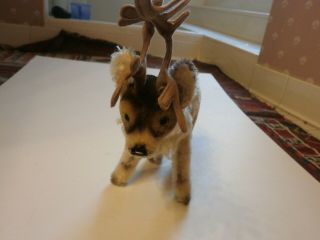 Vintage Steiff Renny Reindeer 1959/63 7 " Top Head Only Mohair No Tags