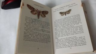 The Observer ' s Book of Larger Moths,  1963 Revised Edition 5