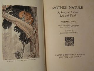 Mother Nature,  Study of Animal Life & Death by William J.  Long 1923 3