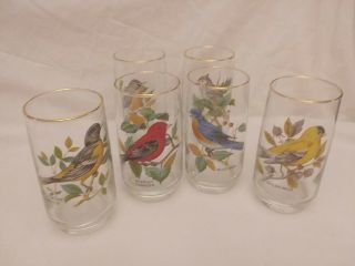 Vintage West Virginia Glass 12oz Glasses With Song Birds Gold Trim Set Of Six