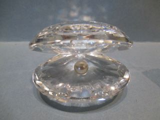 Vintage Swarovski Crystal Large Clam Shell With Pearl