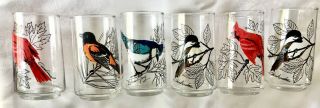 6 Vintage Birds Drinking Glasses 4.  75 " H,  Oriole,  Cardinal,  Chickadee & Blue Jay